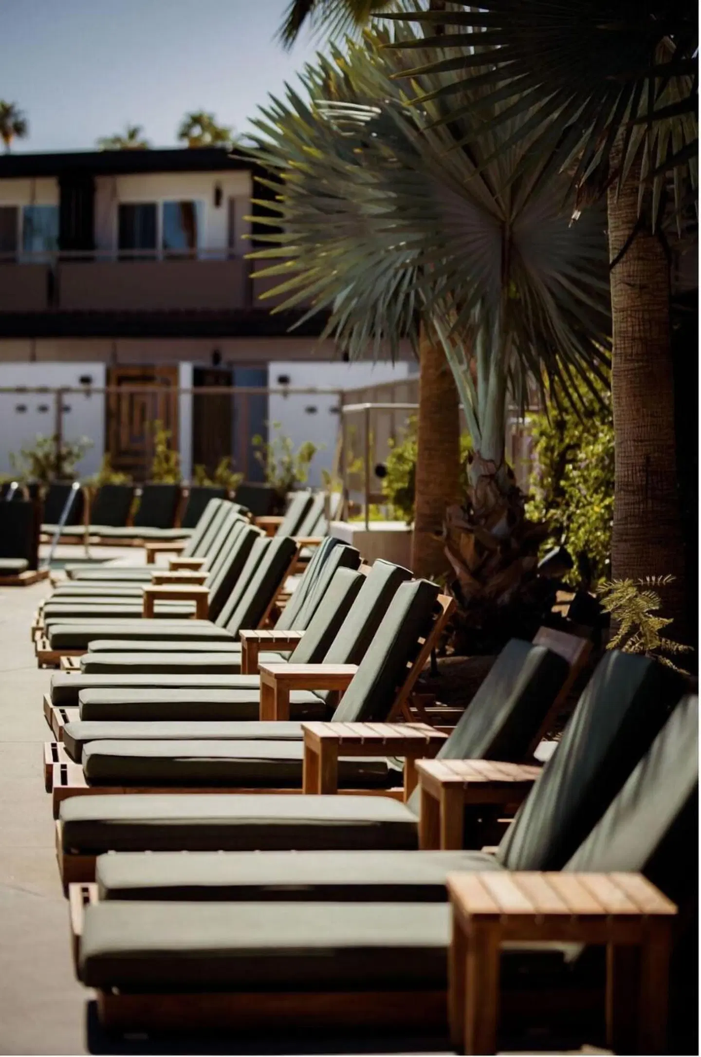 V Palm Springs Terrasse