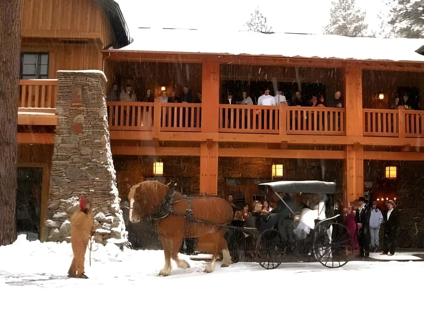 FivePine Lodge Tiere