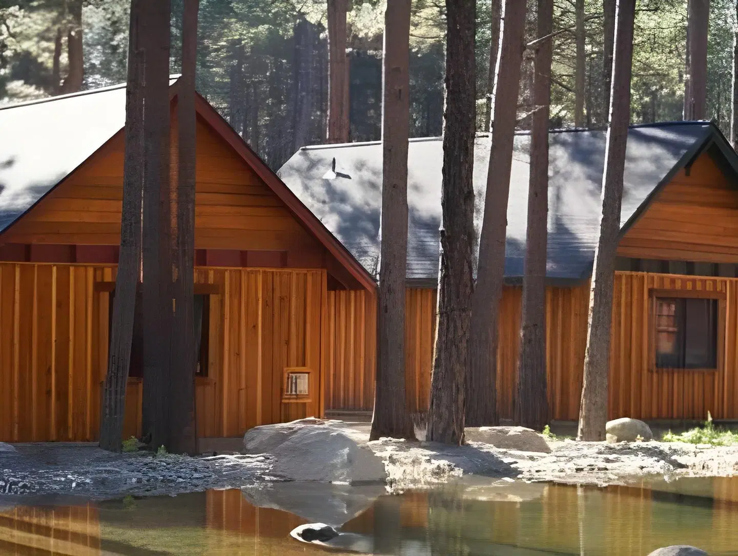 FivePine Lodge Restaurant