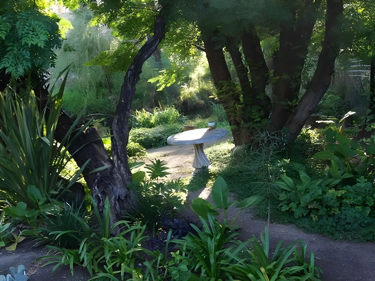 Cunningham Cottage Guest House LANDSCAPE