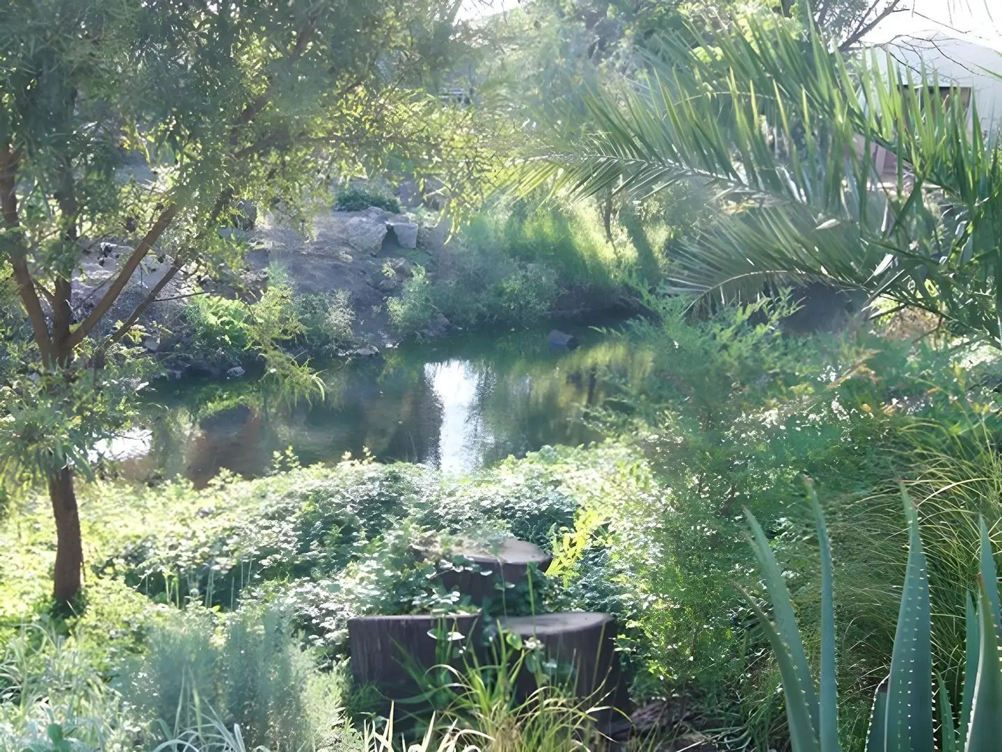 Cunningham Cottage Guest House LANDSCAPE