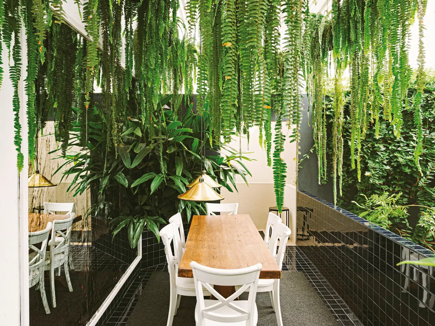 Fausto Terrasse