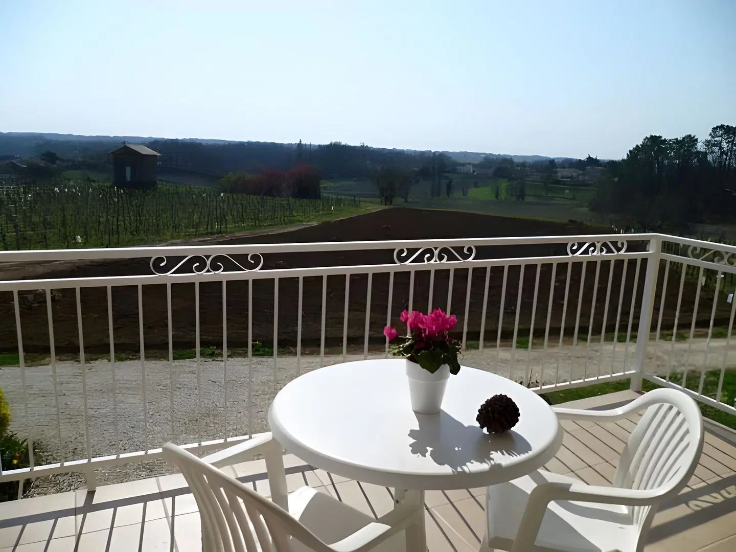 Les Raisins du Bonheur Terrasse