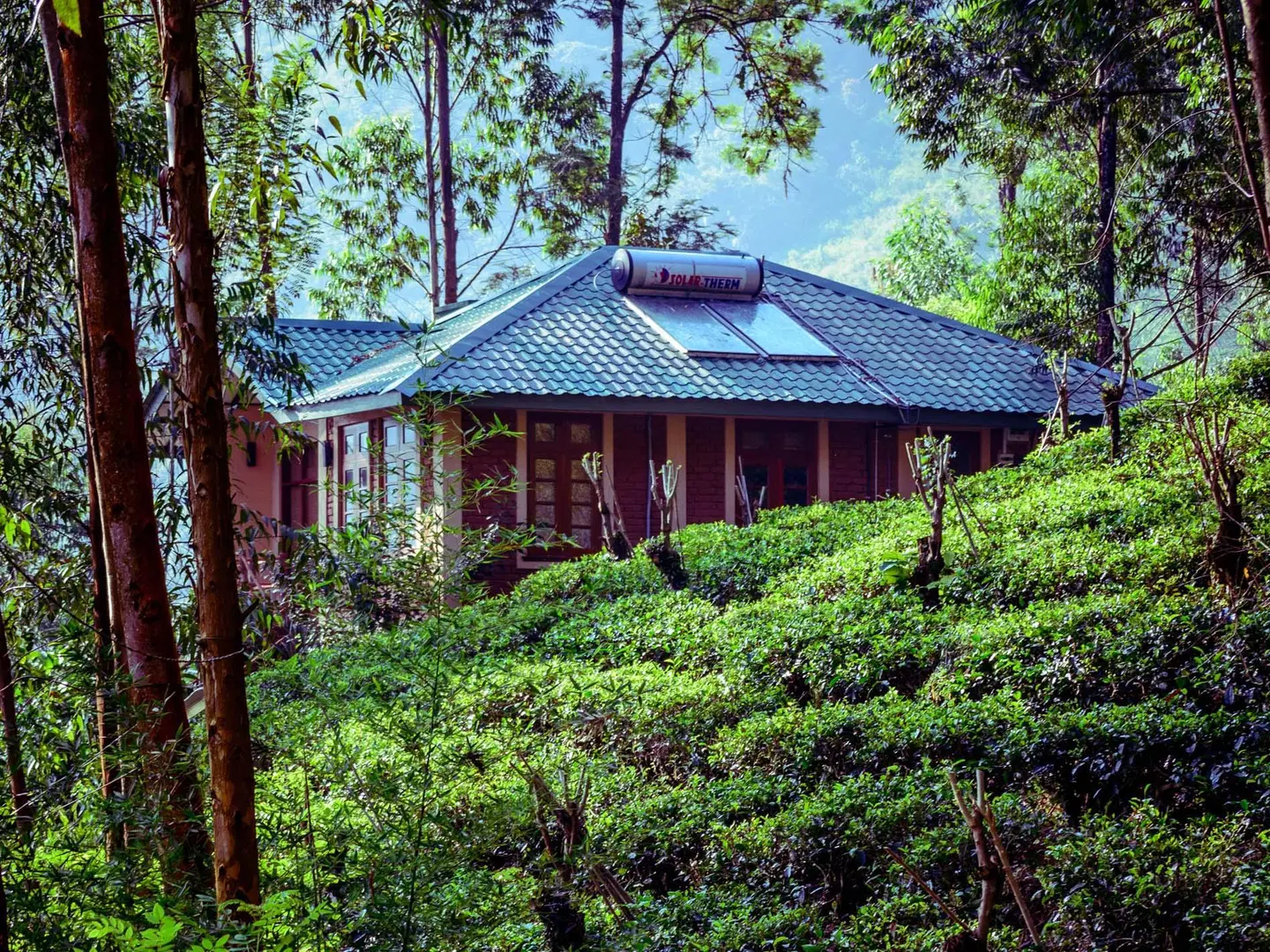 The Tea Cottage Resort & Spa EXTERIOR