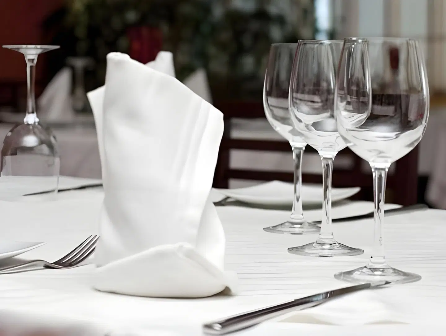 Dragon Inn Restaurant