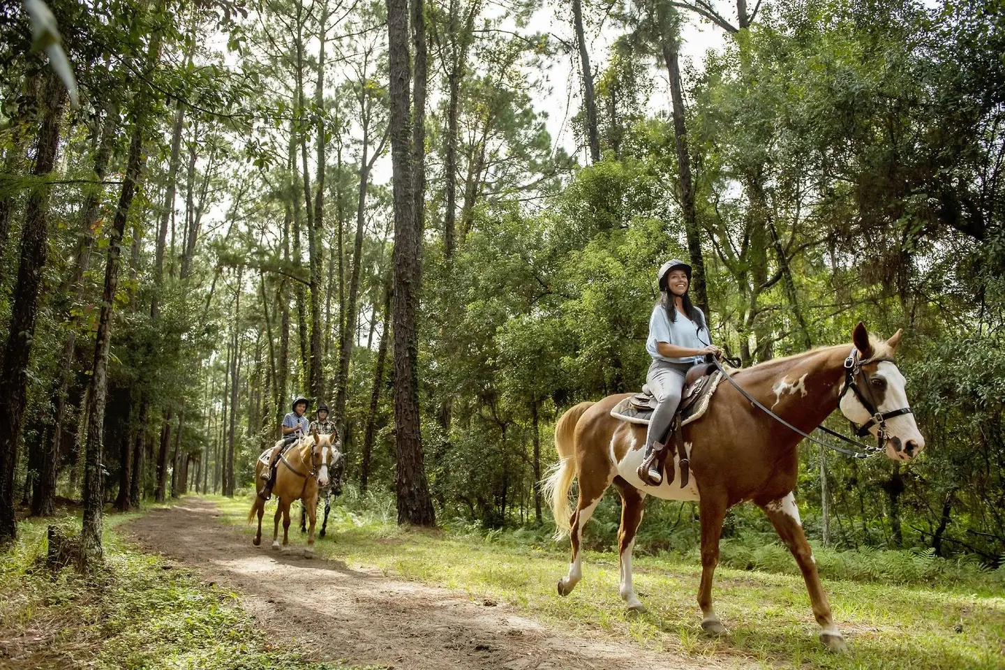 The Cabins at Disney's Fort Wilderness Resort Tiere