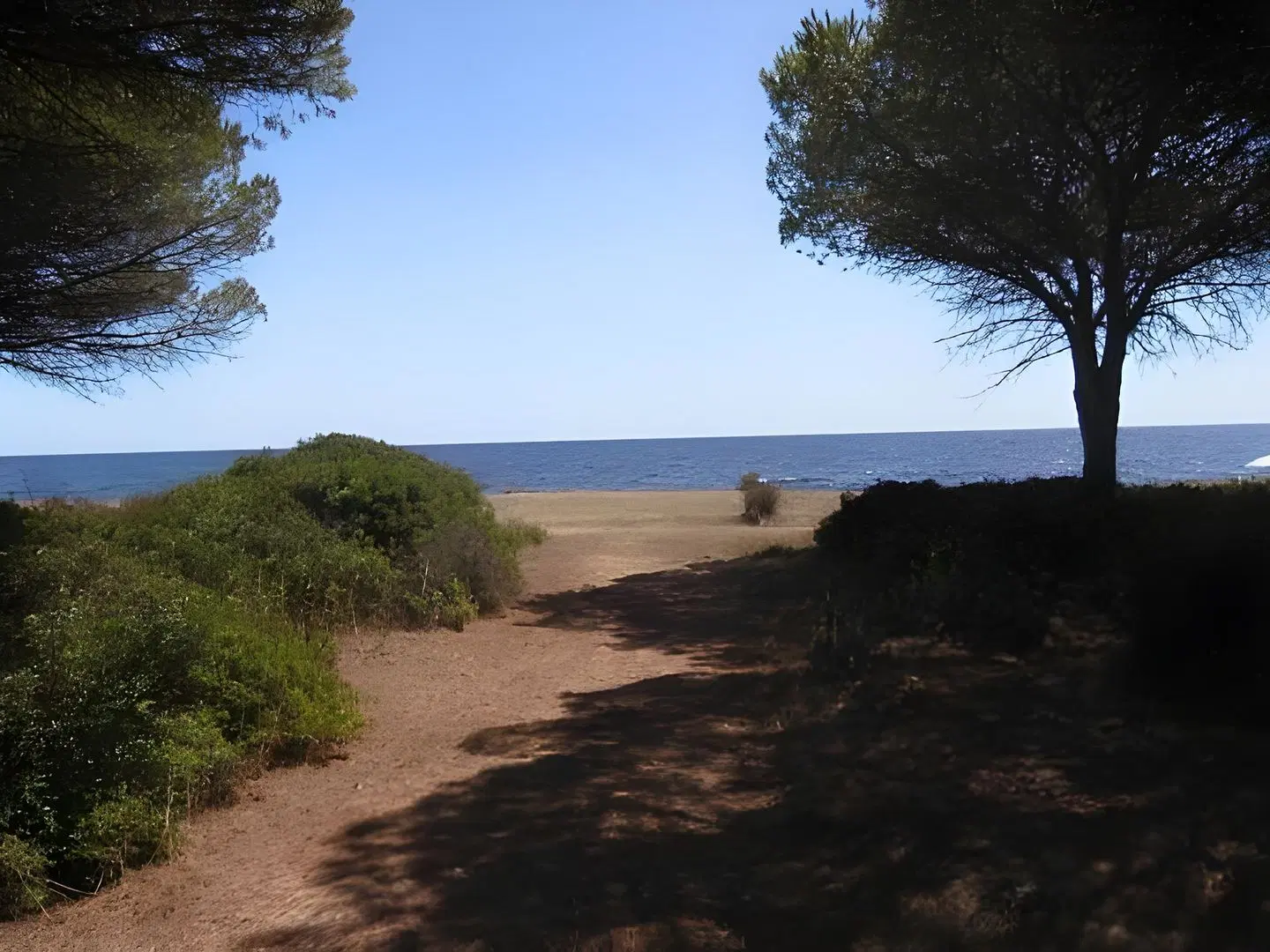 Residence La Pineta LANDSCAPE