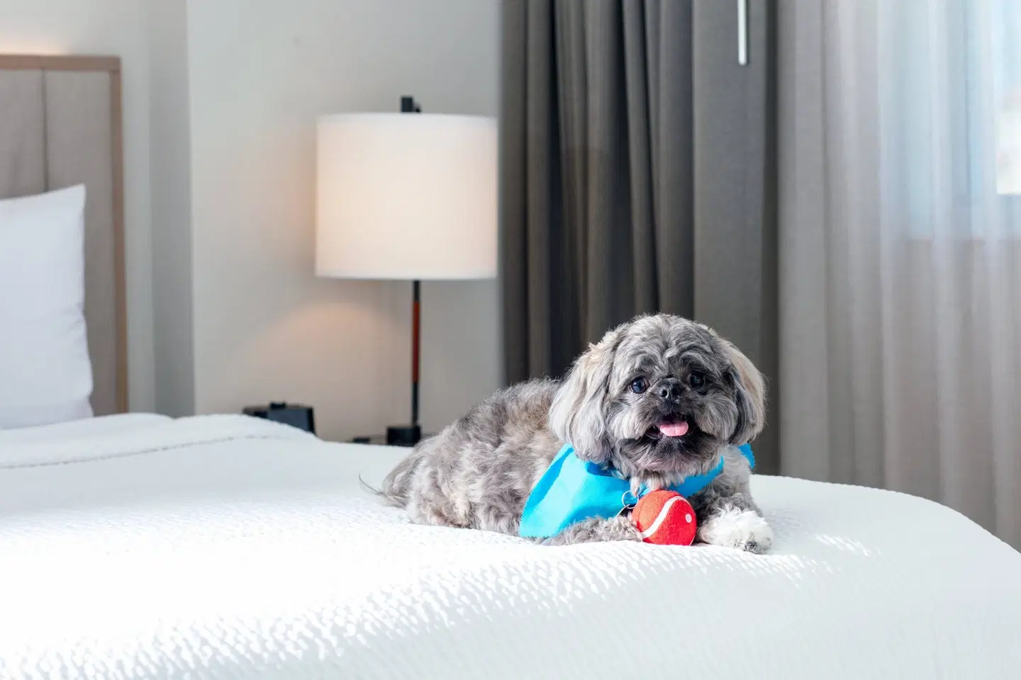 Residence Inn by Marriott Miami Aventura Mall ROOM_EXAMPLE
