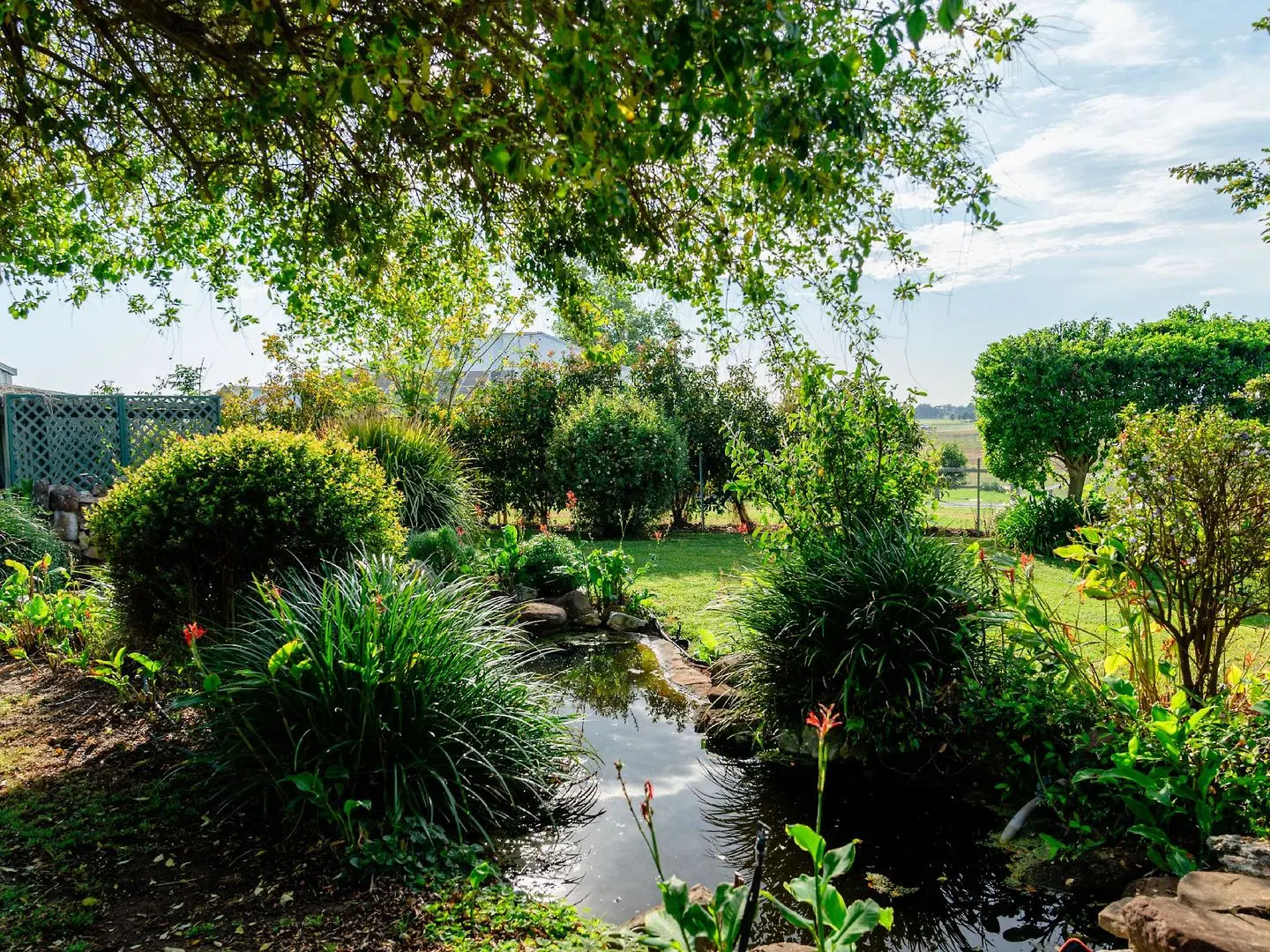 Maddies of Bolwarra Garten