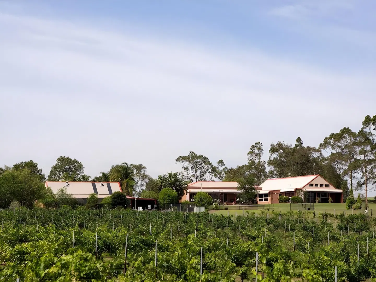 Bluebush Estate Garten