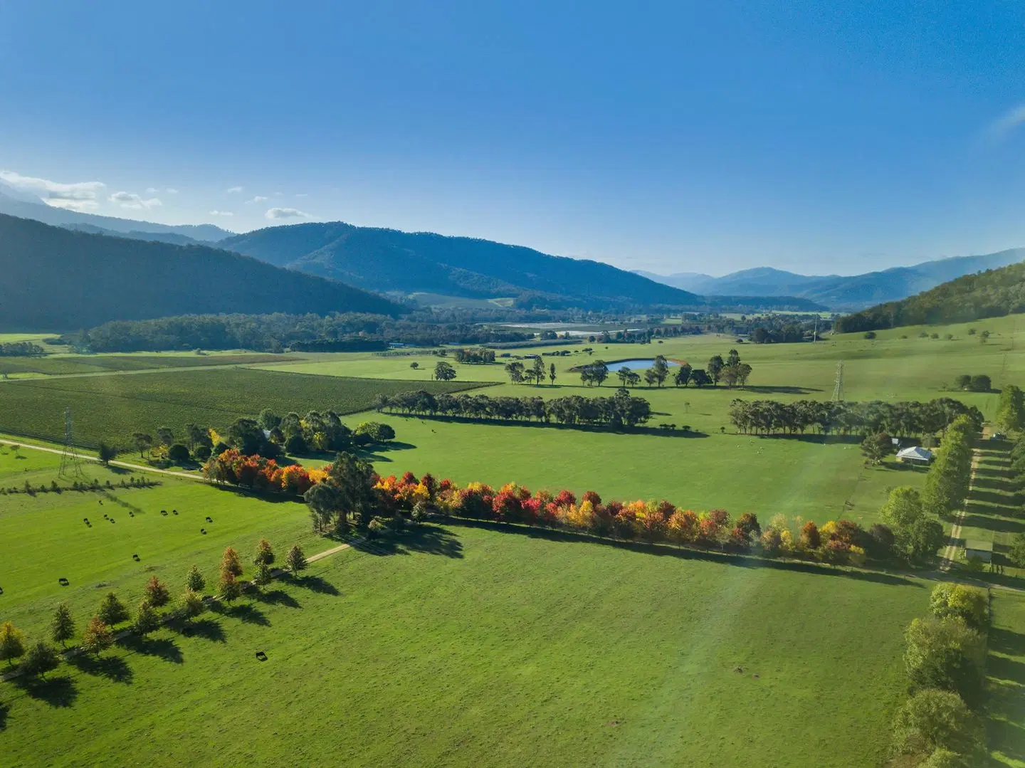 The Buckland - Studio Retreat LANDSCAPE