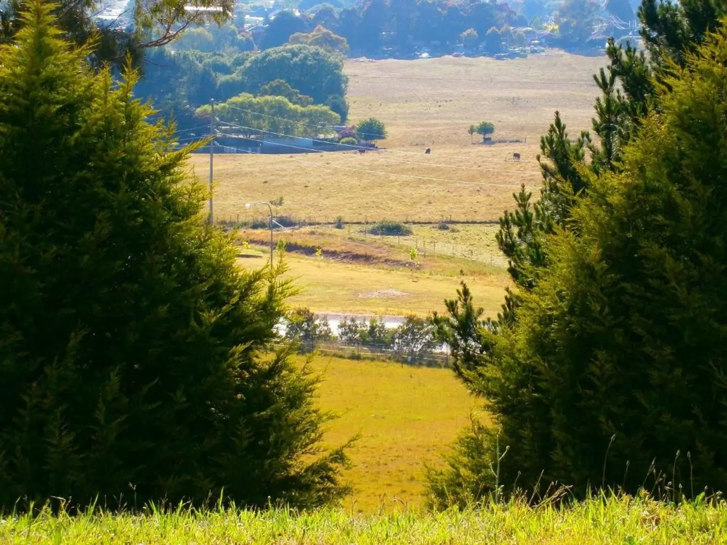 Highlands Motor Inn LANDSCAPE