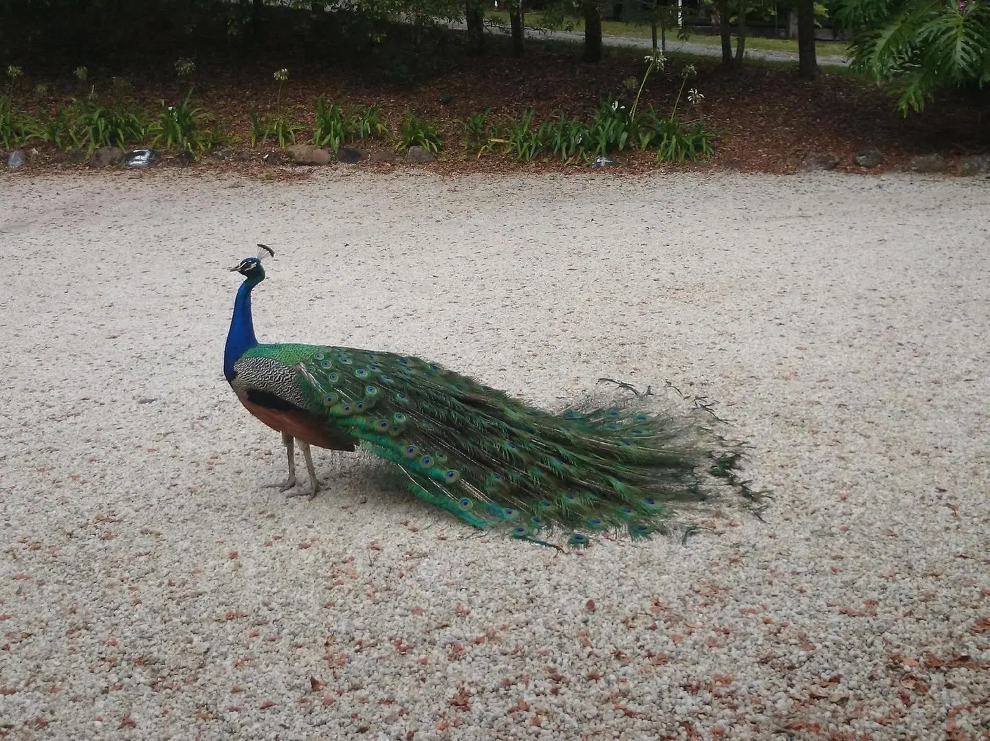Azabu Boutique Accommodation Tiere