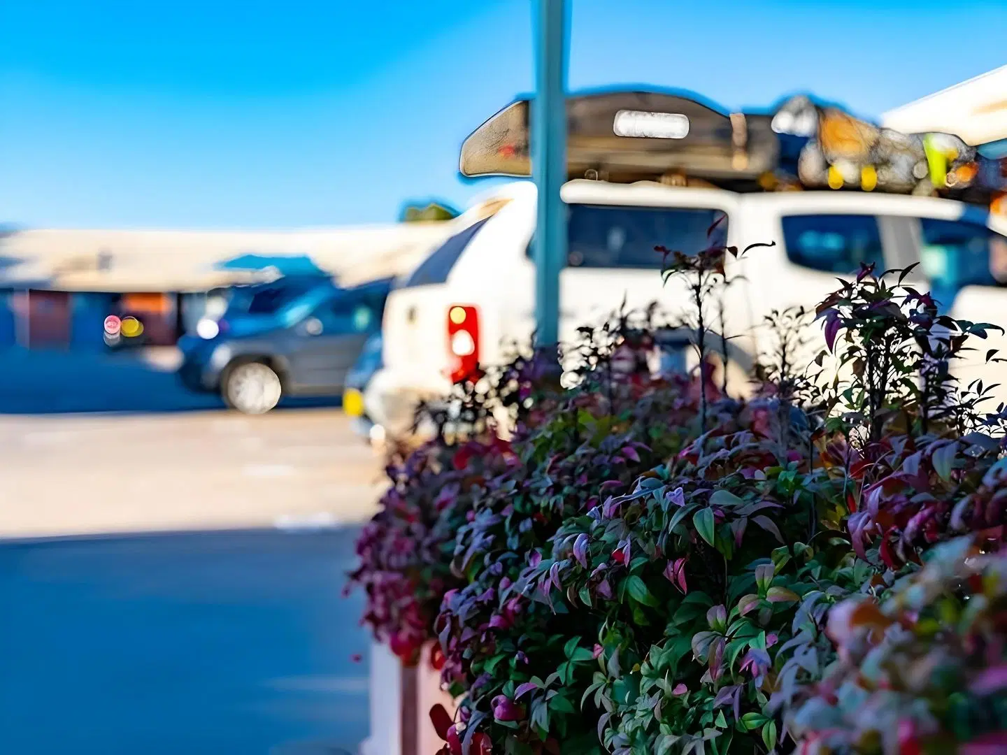 Albert Motel SPORTS_AND_LEISURE
