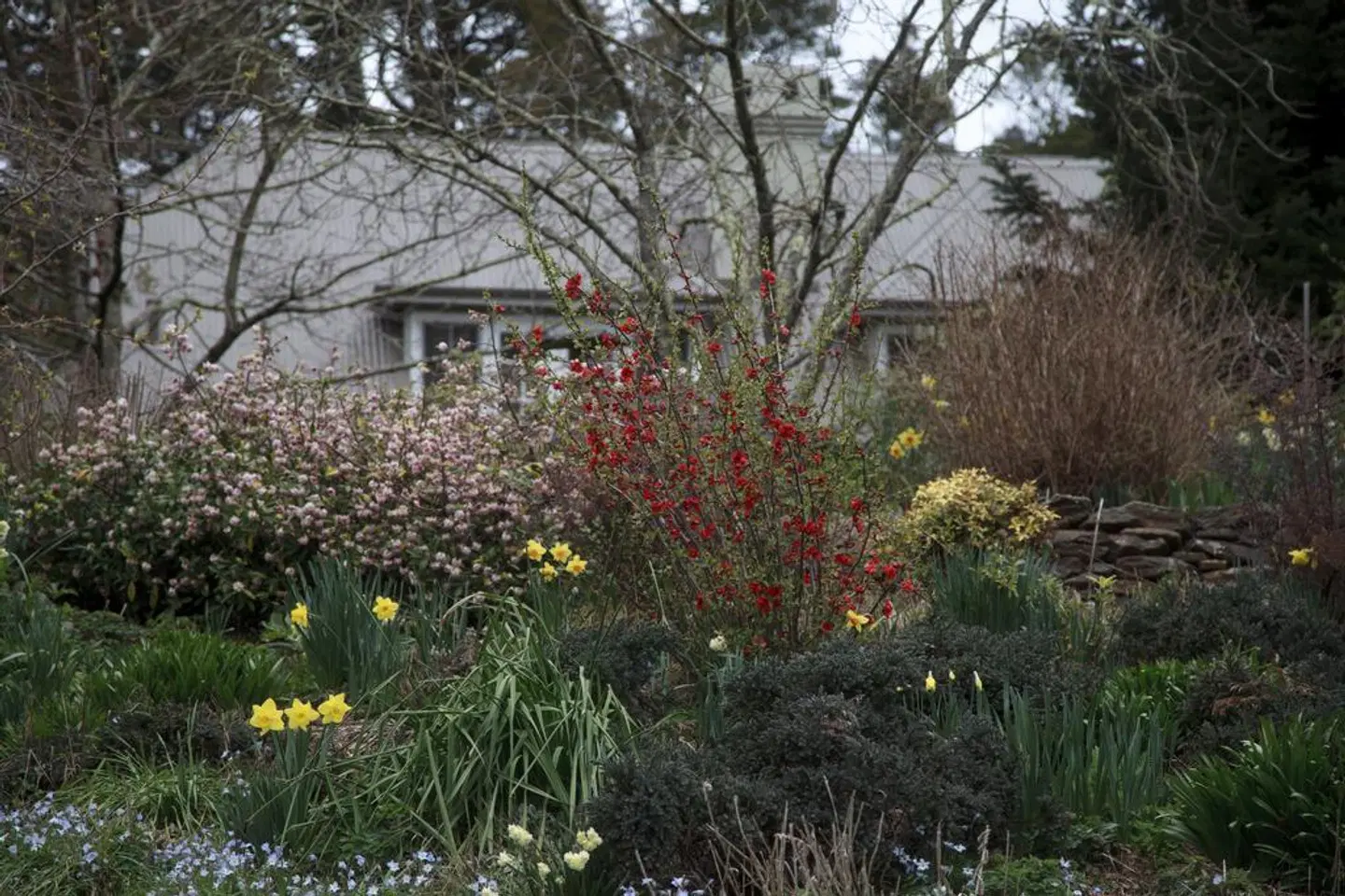 Parklands Country Gardens & Lodges EXTERIOR