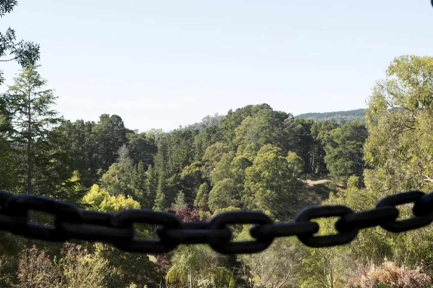 The Manor Basket Range LANDSCAPE