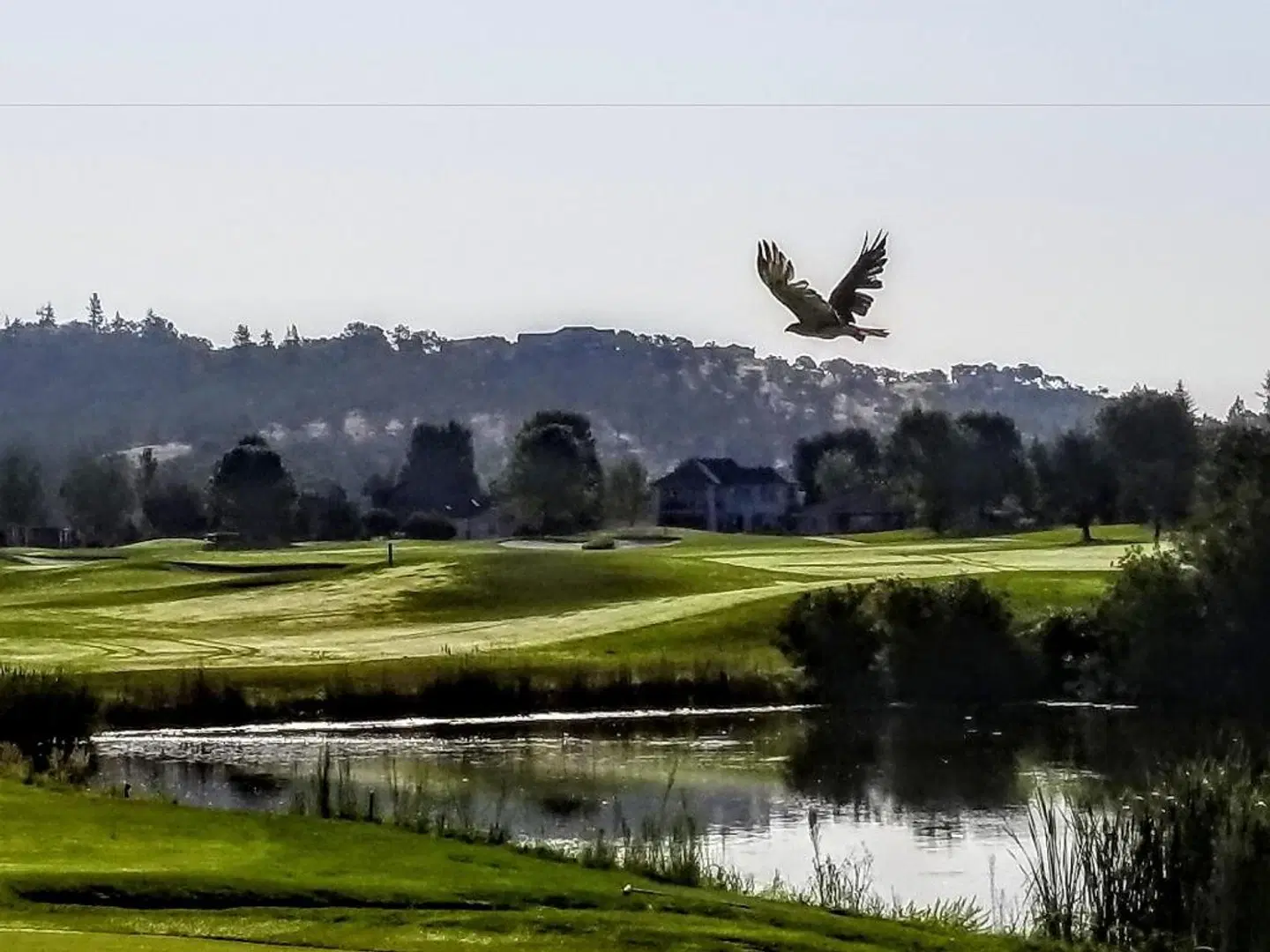 Resort at Eagle Point Golf Club SPORTS_AND_LEISURE