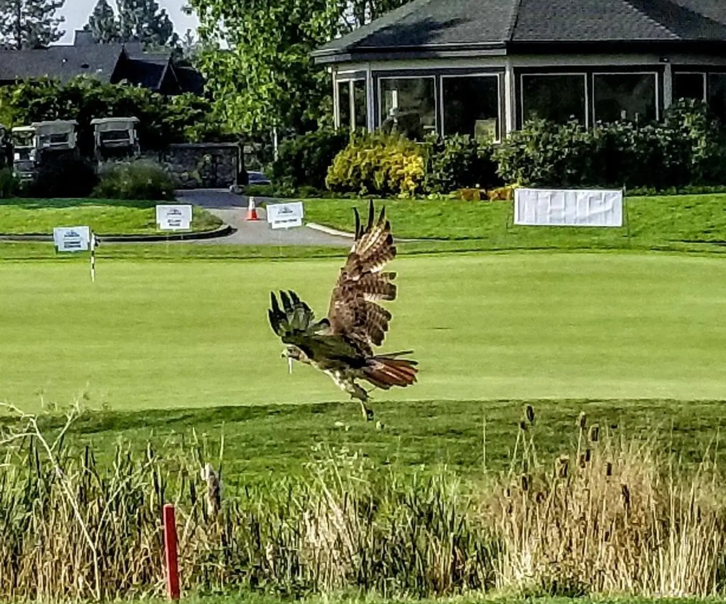 Resort at Eagle Point Golf Club Garten
