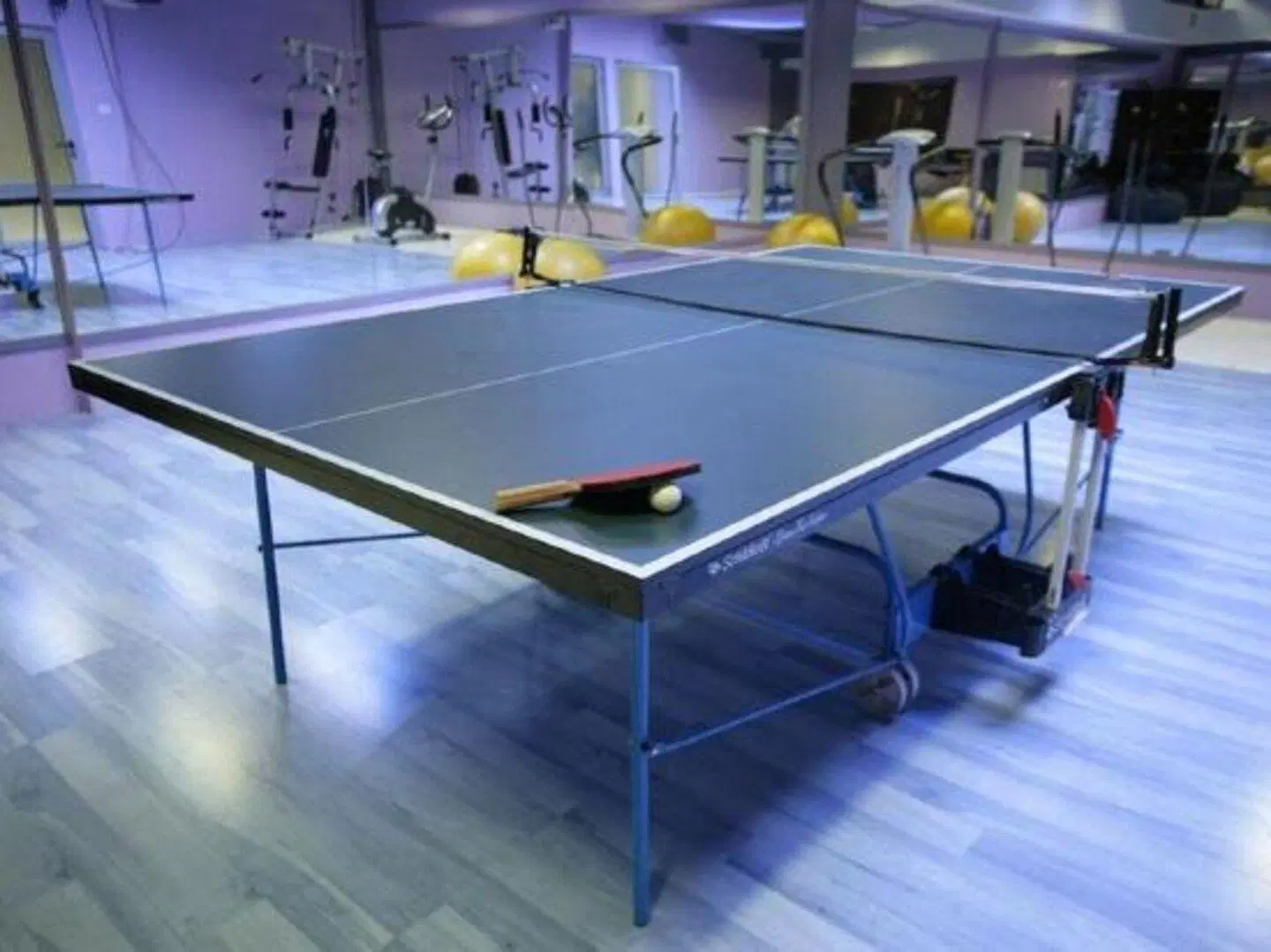 Alexandar Lux Hotel SPORTS_AND_LEISURE