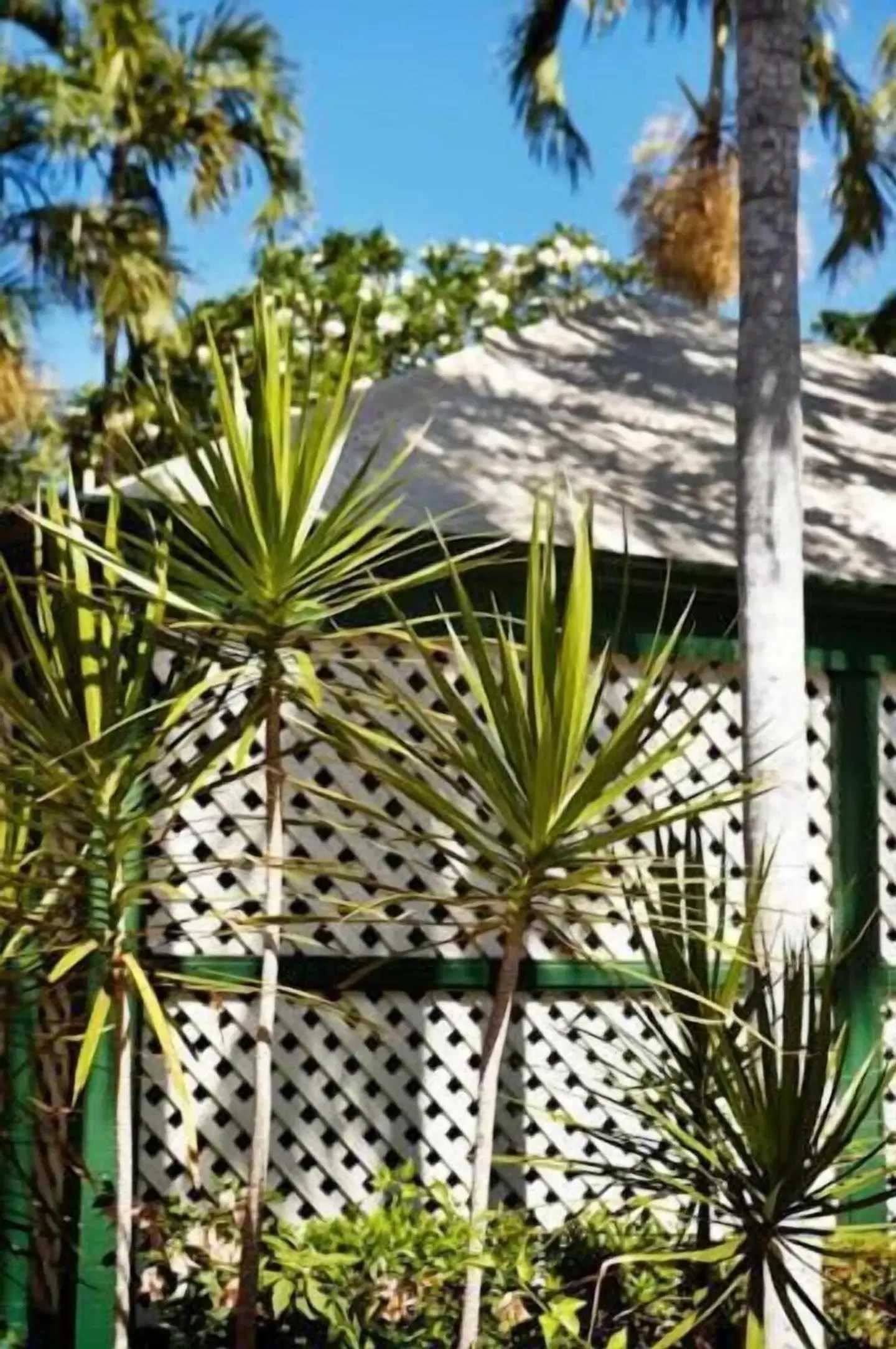 Pinctada McAlpine House Broome Garten