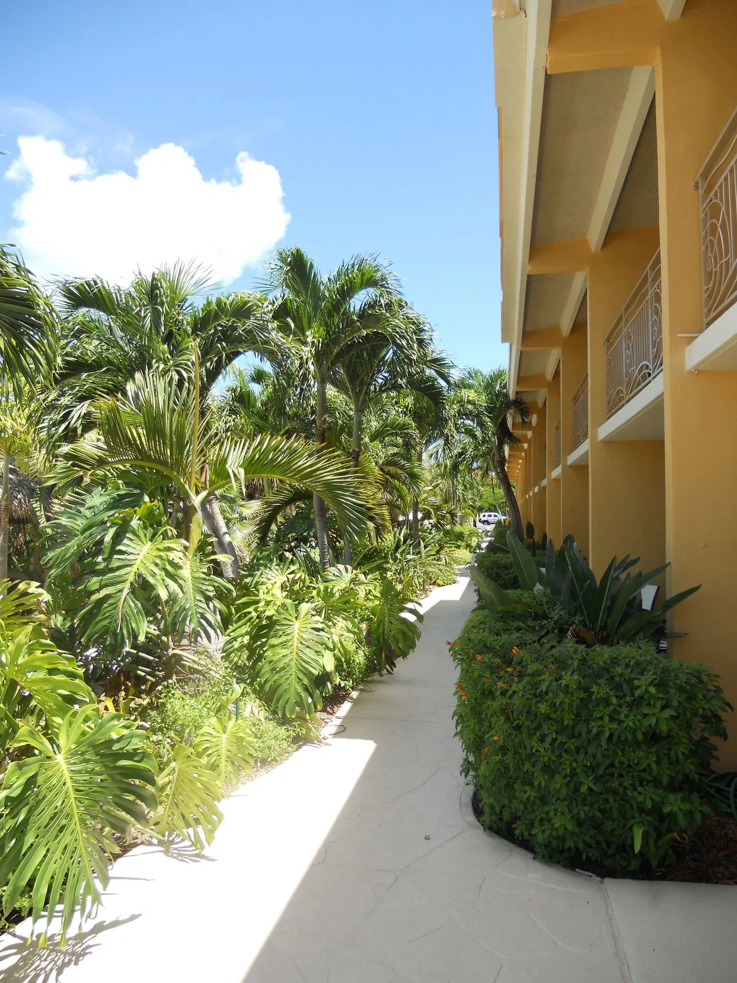 Hampton Inn Key Largo, FL Garten