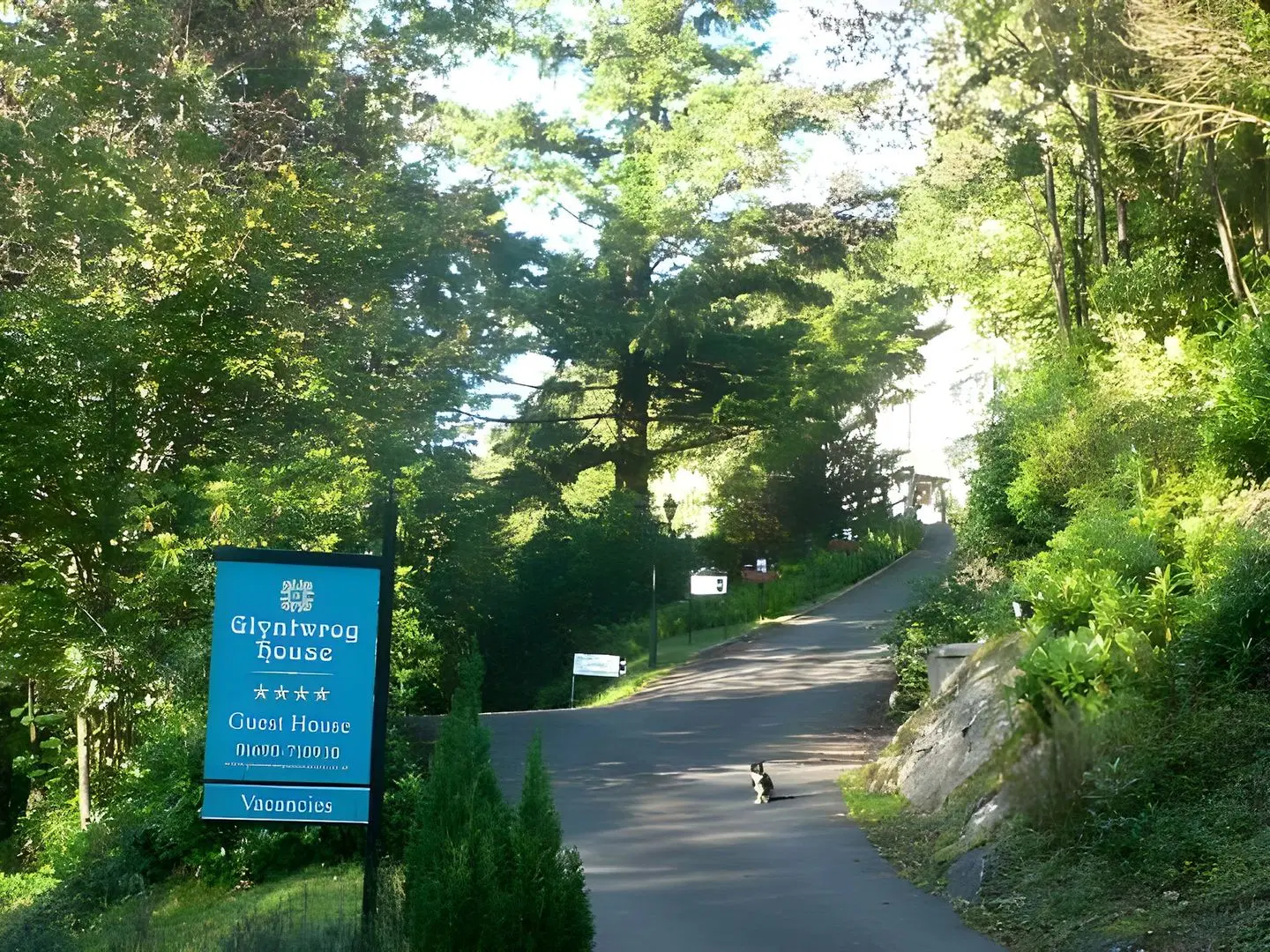 Glyntwrog House Garten