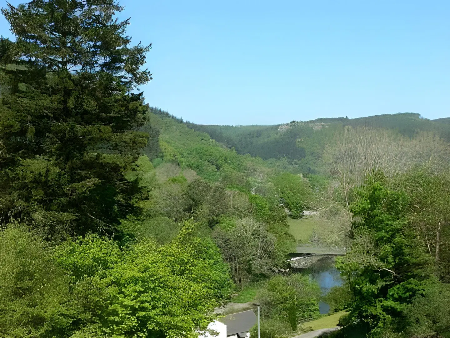 Glyntwrog House LANDSCAPE