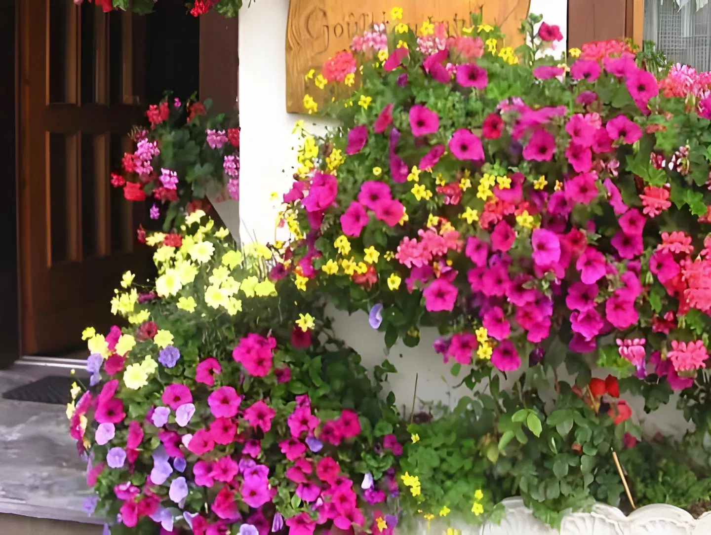 Hotel Les Mélèzes Garten