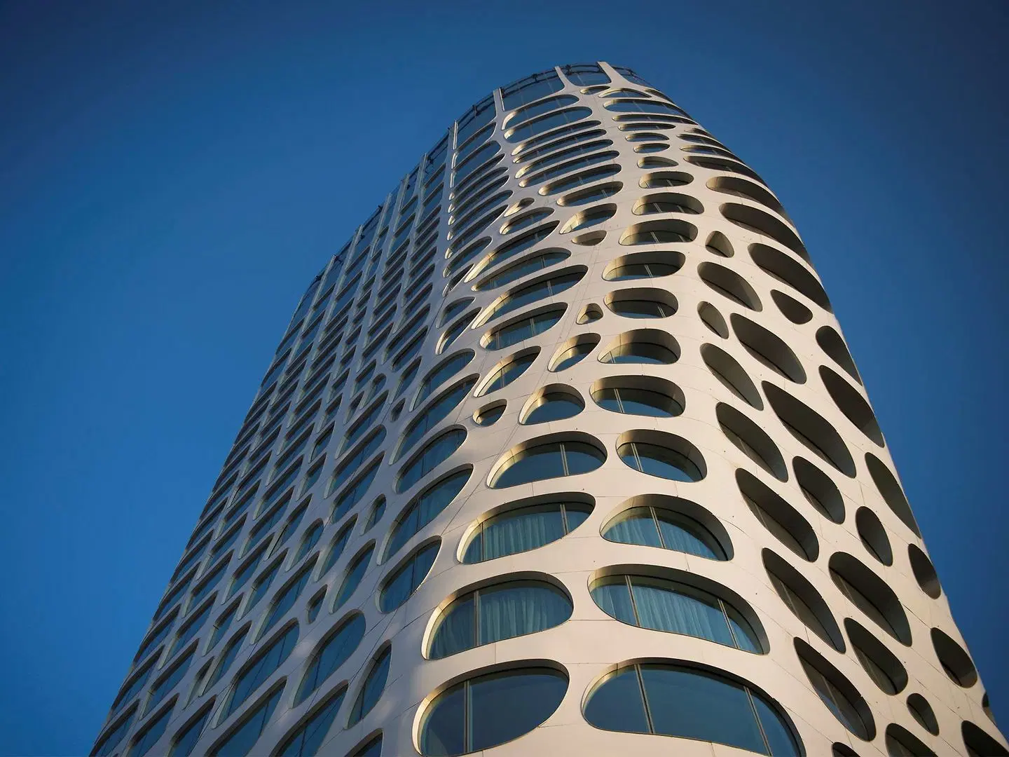 Conrad Beijing Tiere