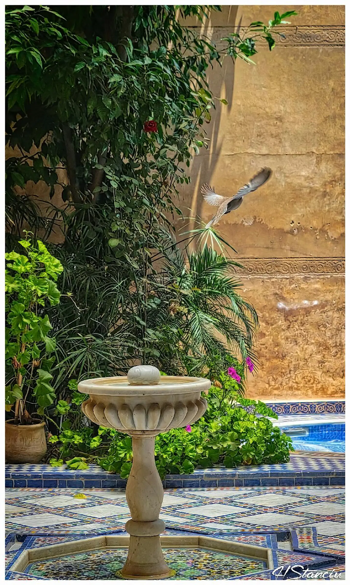 Riad Layalina Garten