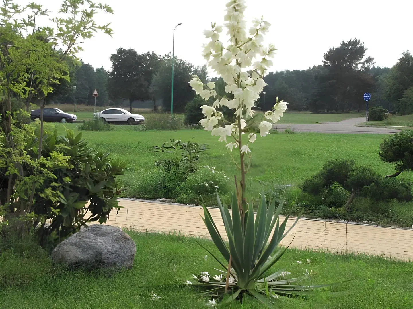 Baltas Namas Garten