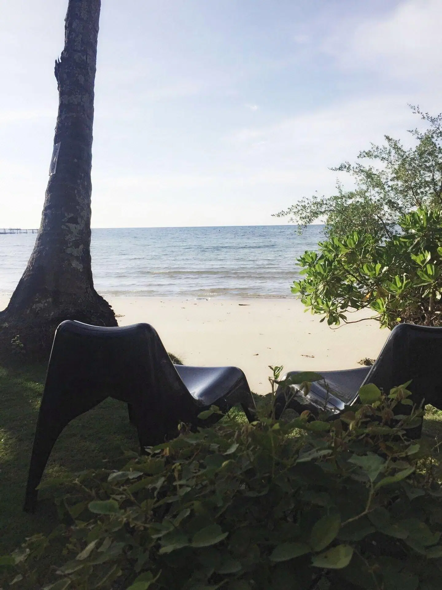 Dusita Koh Kood Resort Tiere