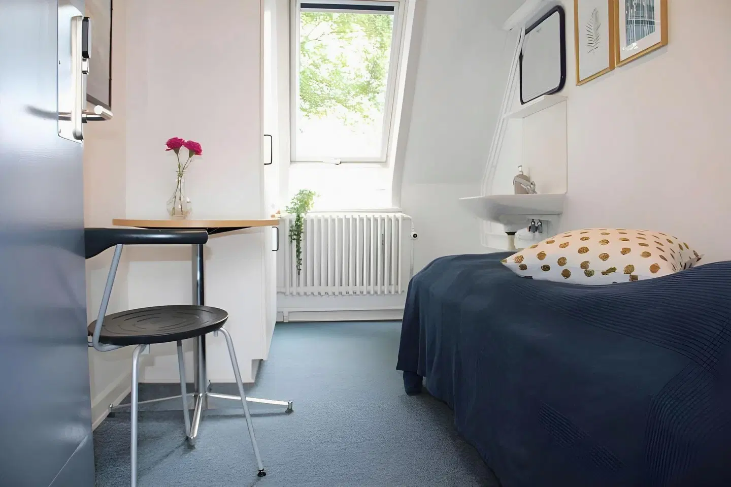 Danhostel Odense Kragsbjerggaard ROOM_EXAMPLE