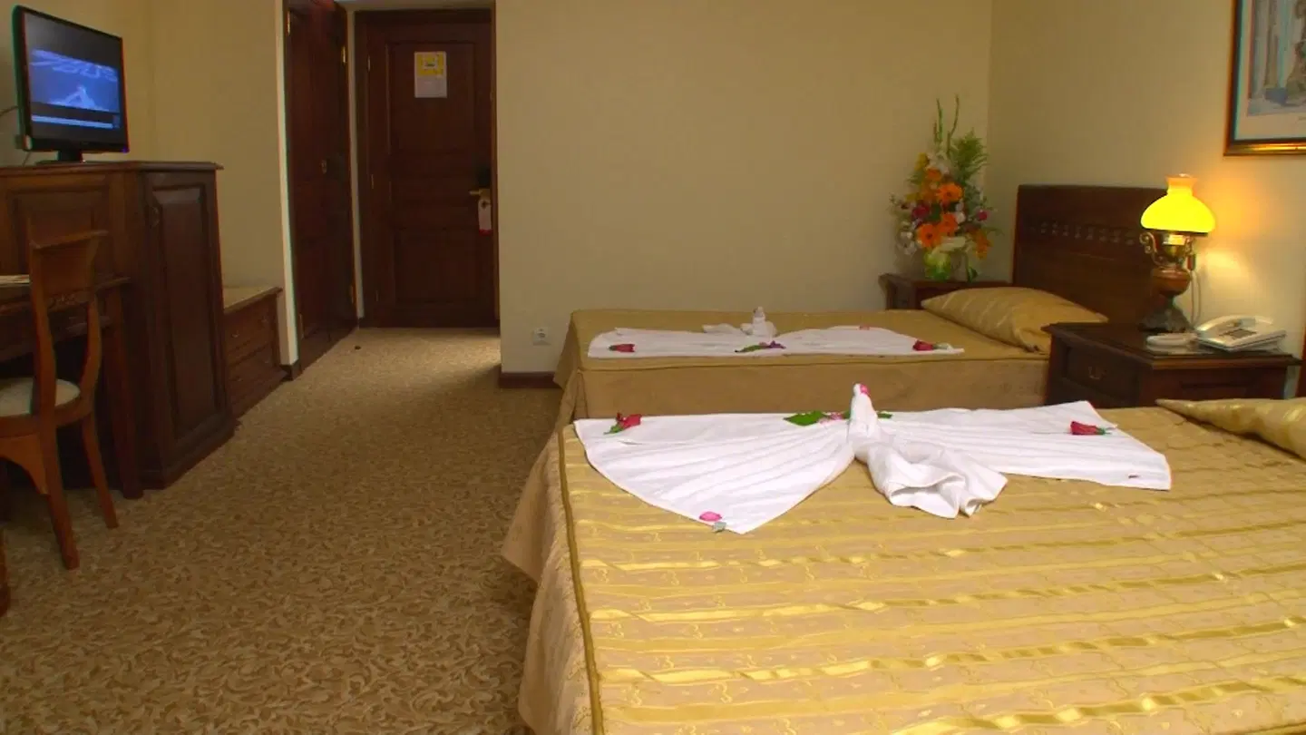 Antik Butik & Antik Garden ROOM_EXAMPLE
