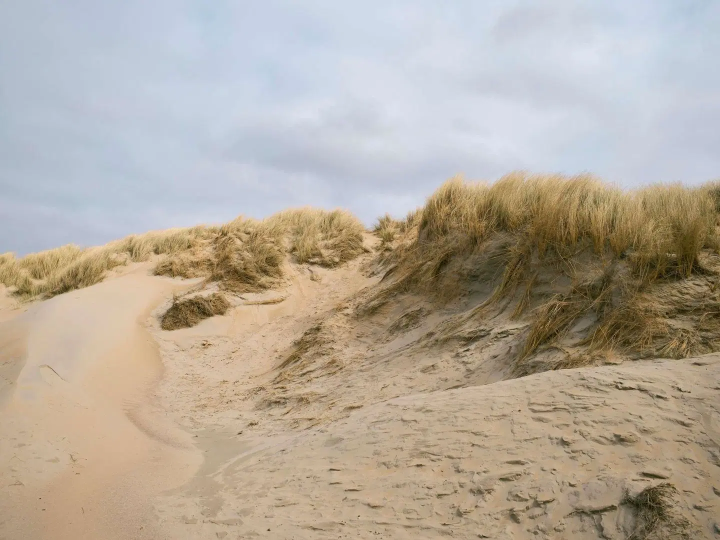 Boutique Hotel Ter Zand LANDSCAPE