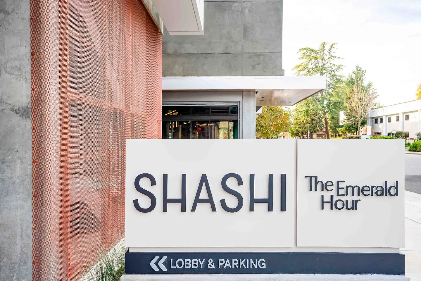 Shashi Hotel Mountain View, an Urban Resort LOUNGE_LOBBY