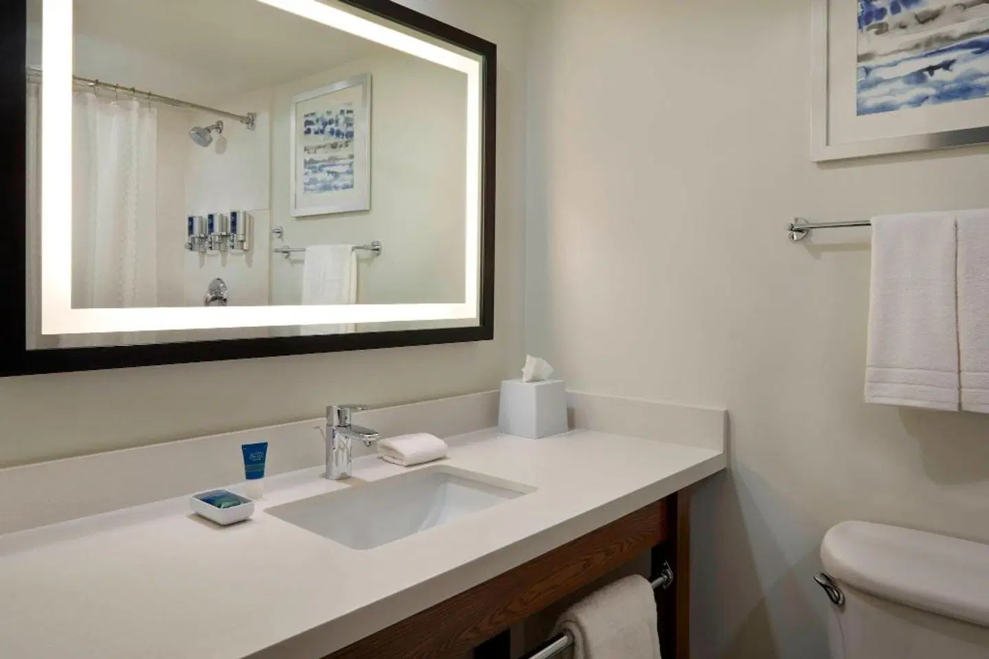 Four Points by Sheraton Toronto Airport Badezimmer