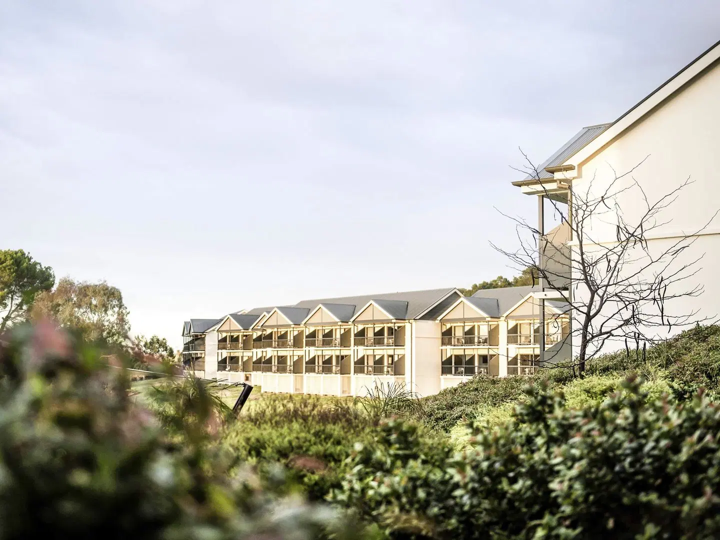 Novotel Barossa Valley Resort Hotel EXTERIOR