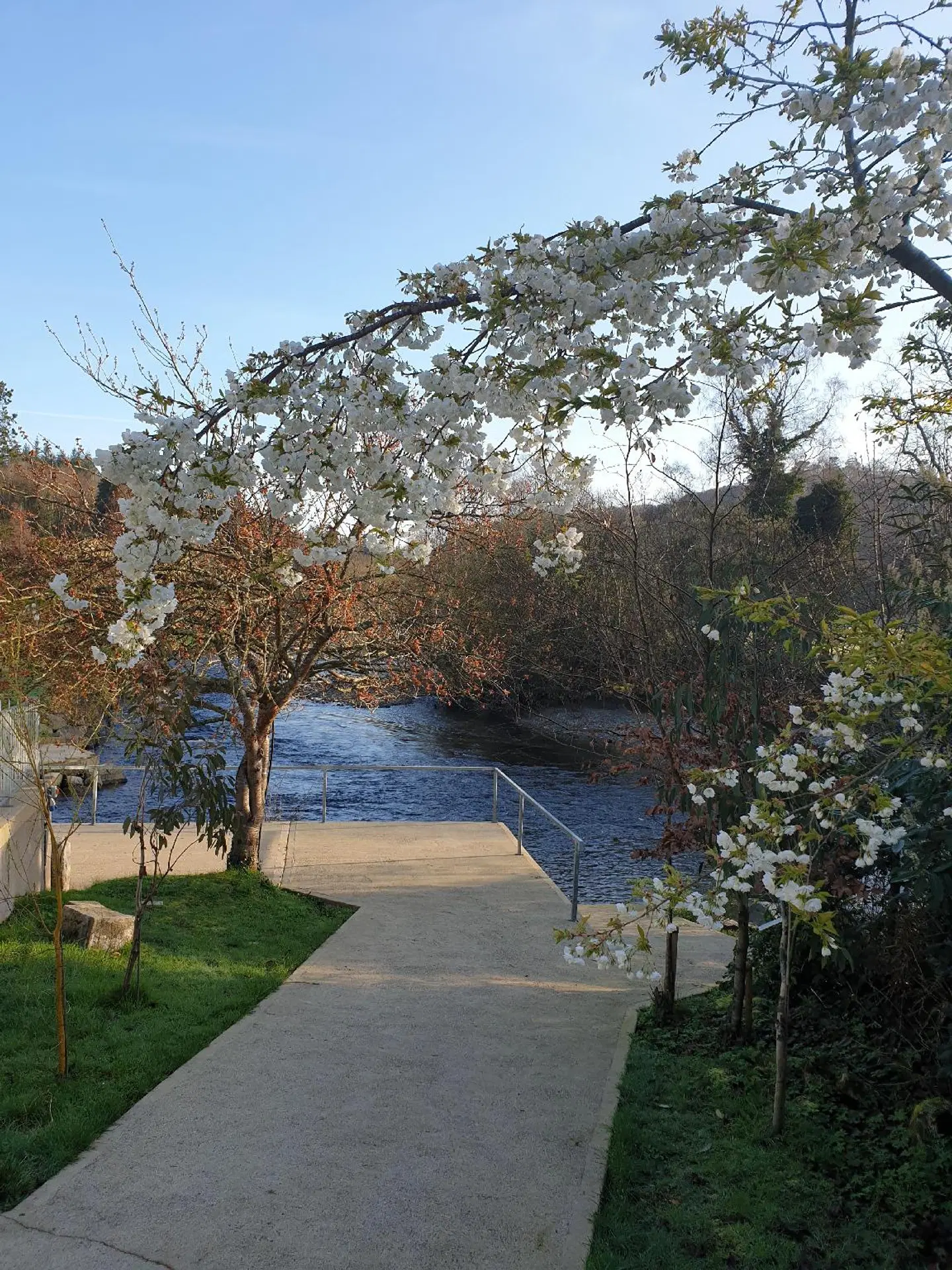 The Meetings Garten
