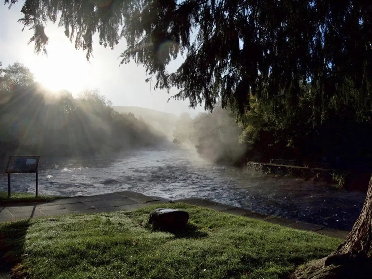 The Meetings LANDSCAPE