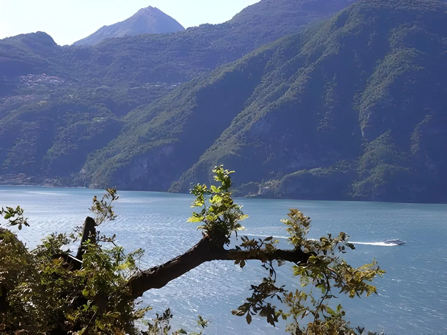 Crotto Di Gittana LANDSCAPE