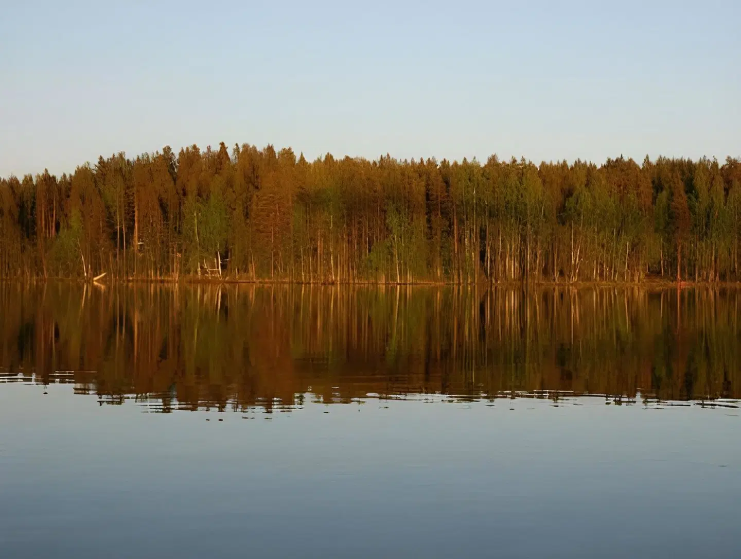 Villa Viktoriya LANDSCAPE