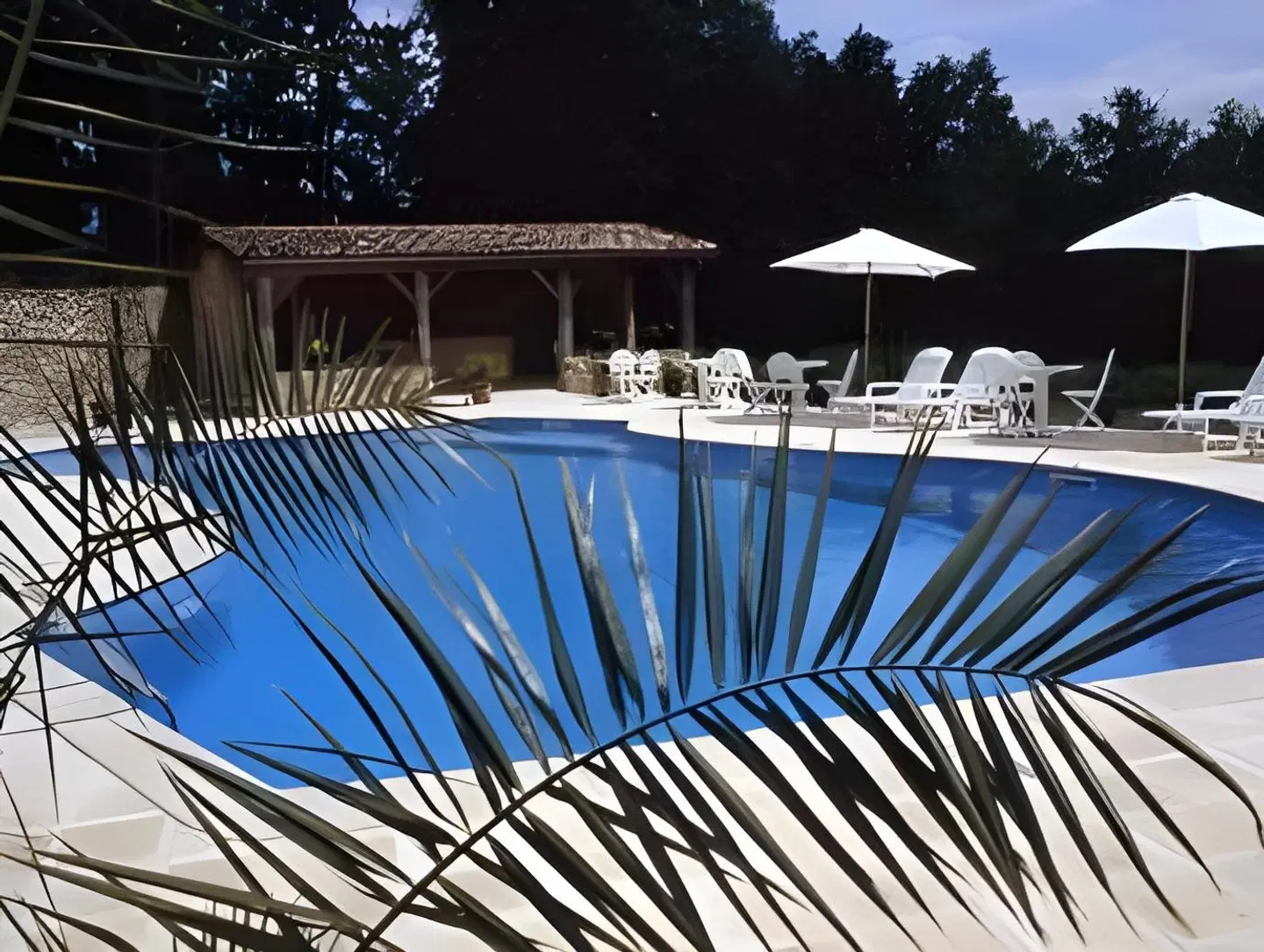 Château de Sanse OUTDOOR_POOL
