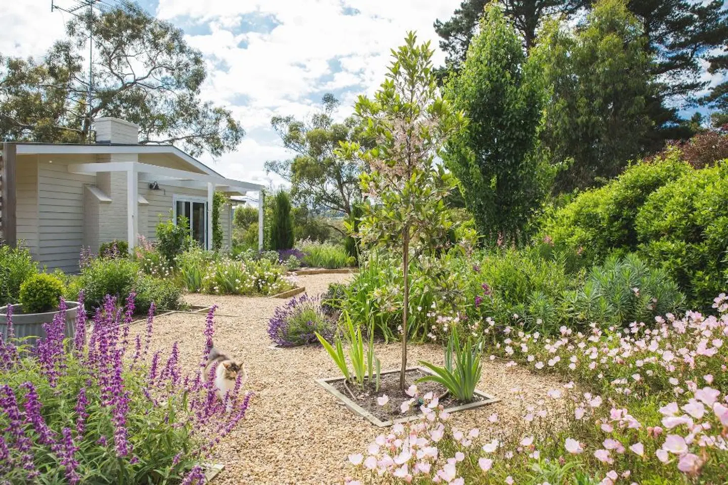 Haven Red Hill Garten