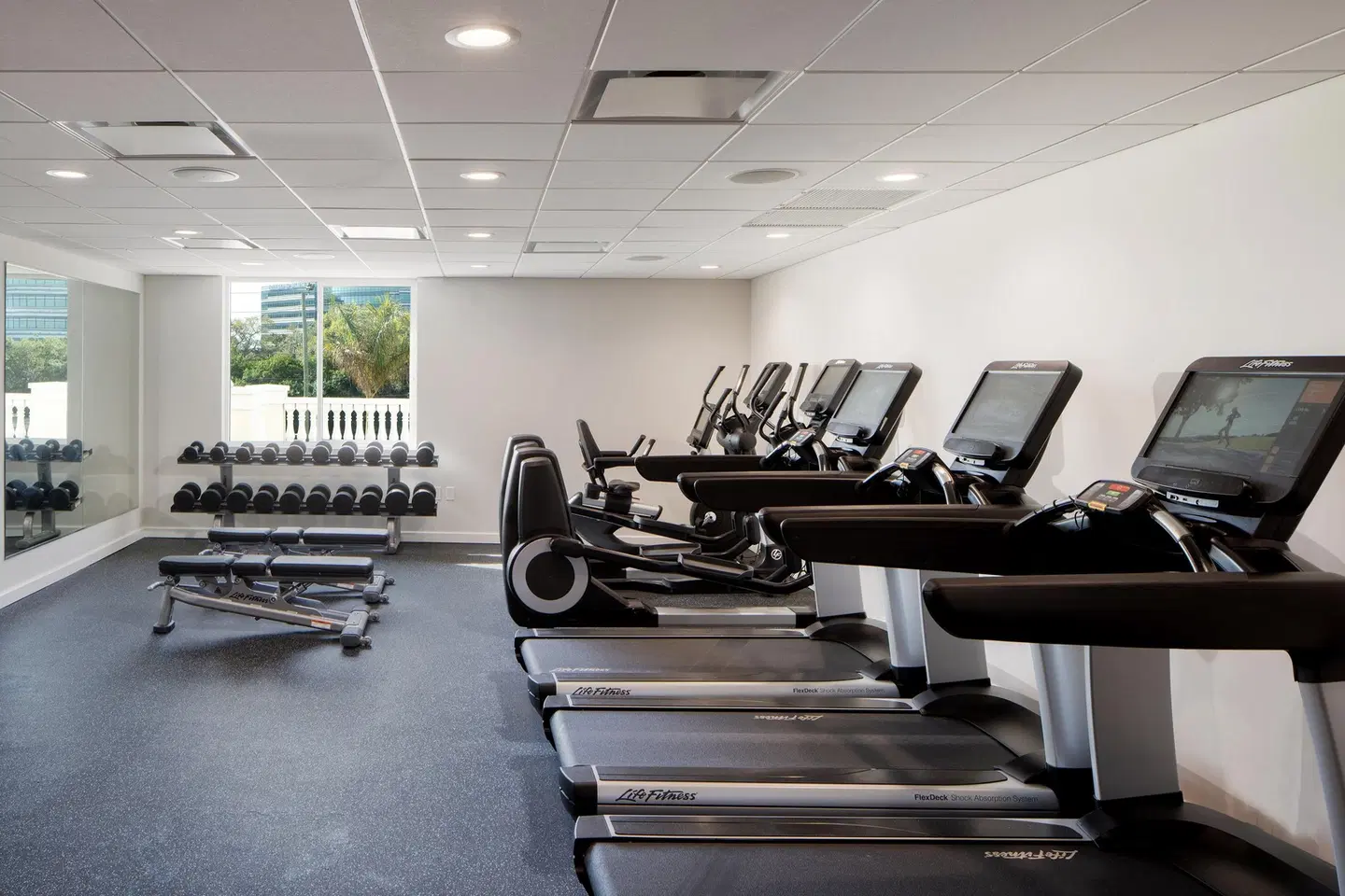 The Karol Hotel, St. Petersburg Clearwater, a Tribute Portfolio Hotel SPORTS_AND_LEISURE