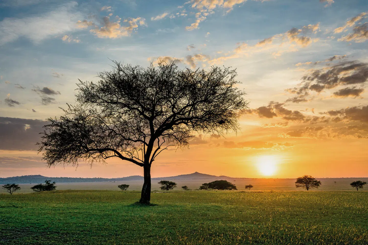 Singita Sabora Tented Camp LANDSCAPE