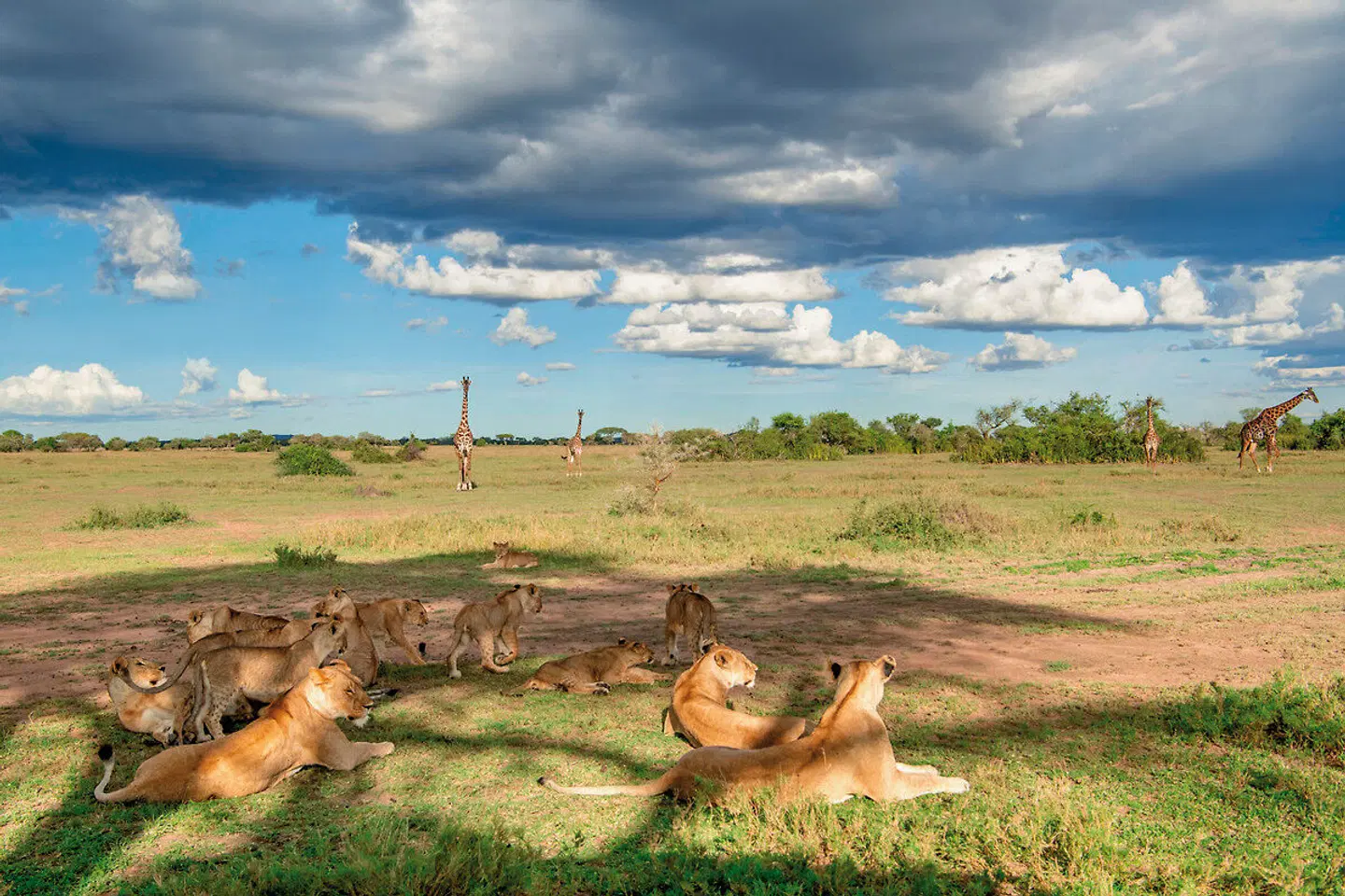Singita Sabora Tented Camp HEALTH_BEAUTY