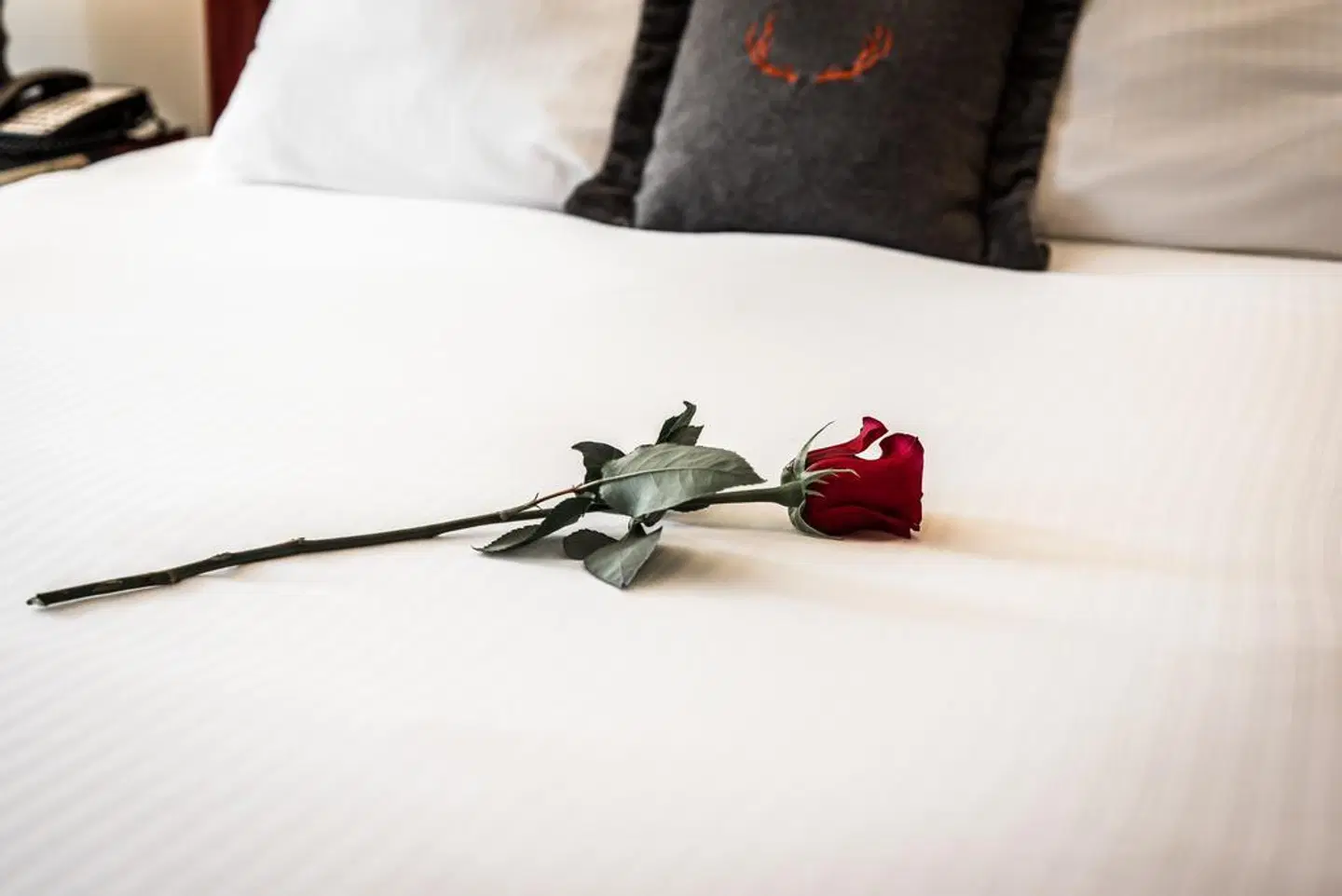 Adara Hotel SPORTS_AND_LEISURE