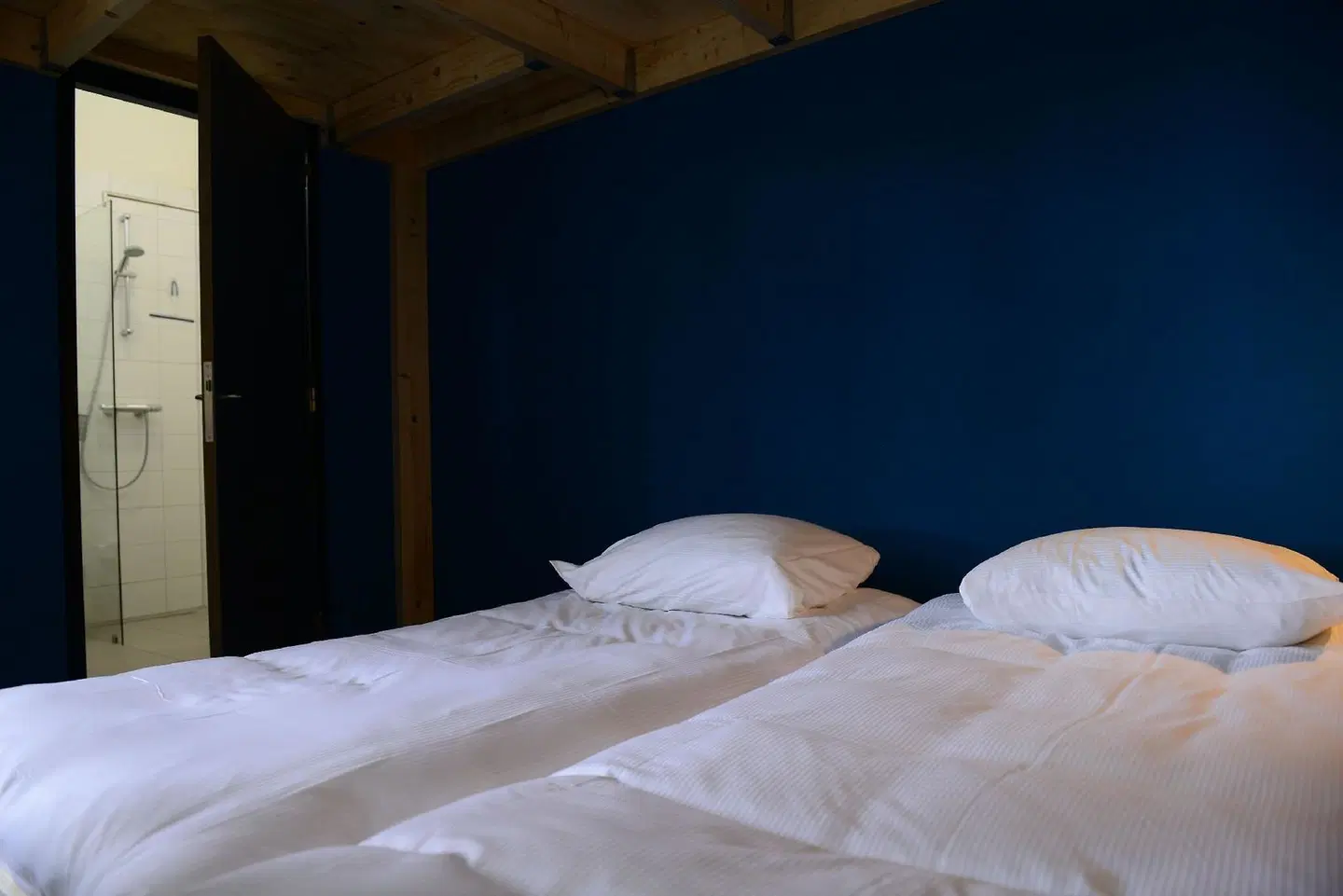 Hostel Roots ROOM_EXAMPLE