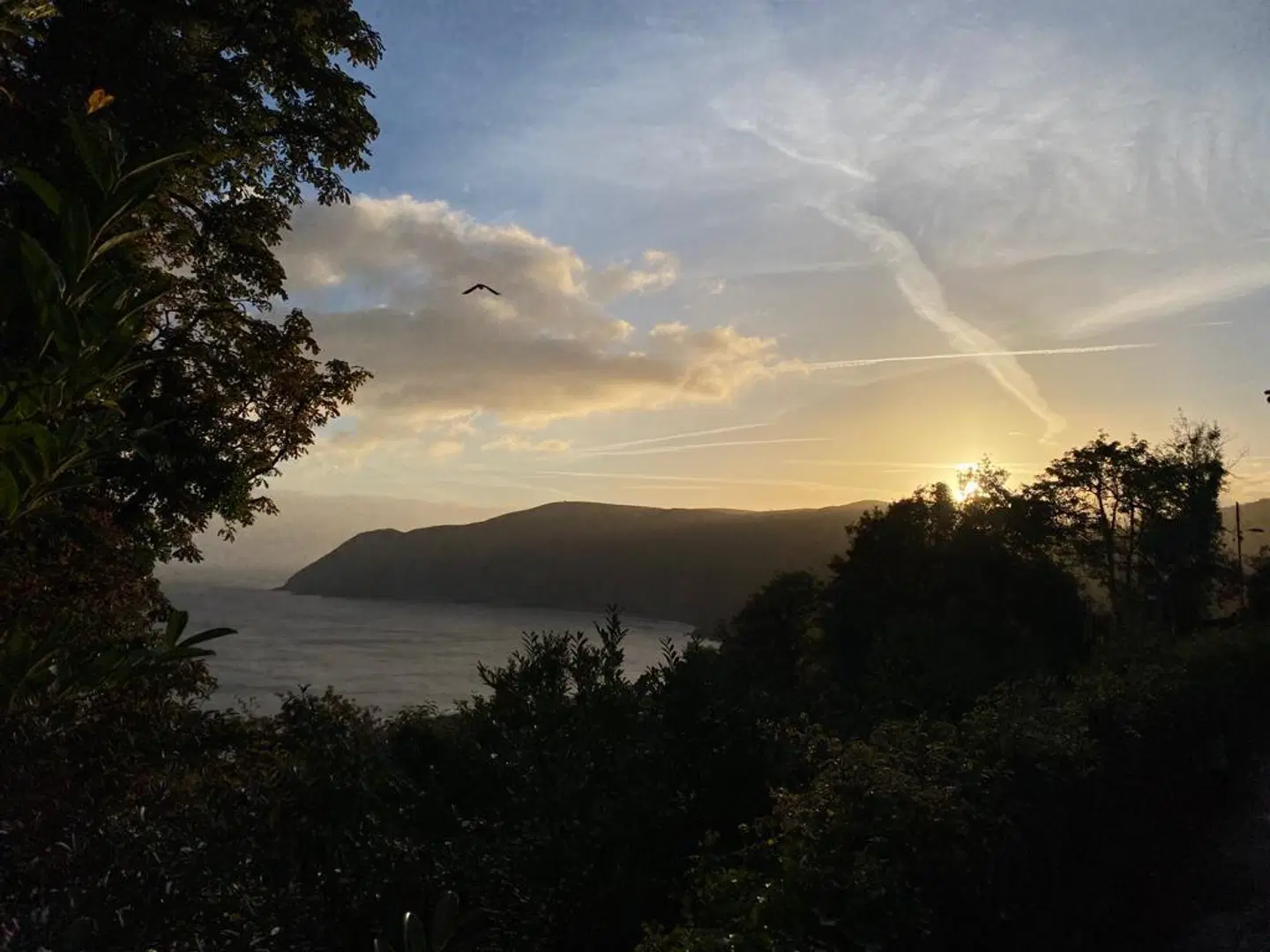 The North Cliff Hotel LANDSCAPE
